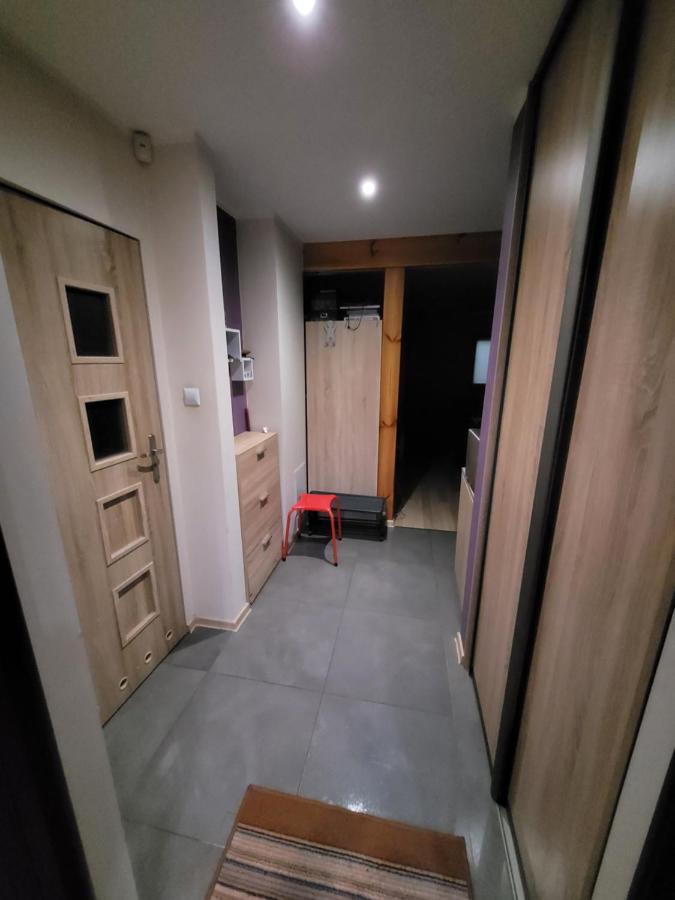 فيلا Zaciszny Dom Z Plaza Nad Jeziorem Chancza Rakow  المظهر الخارجي الصورة
